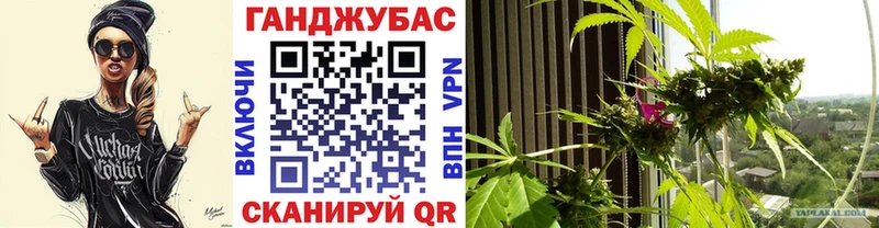 Канабис SATIVA & INDICA Майский